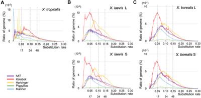 Activation of DNA Transposons and Evolution of piRNA Genes Through Interspecific Hybridization in Xenopus Frogs